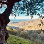 La Scienza Nuova Srls * Vatolla