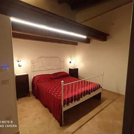 La Scienza Nuova Srls *