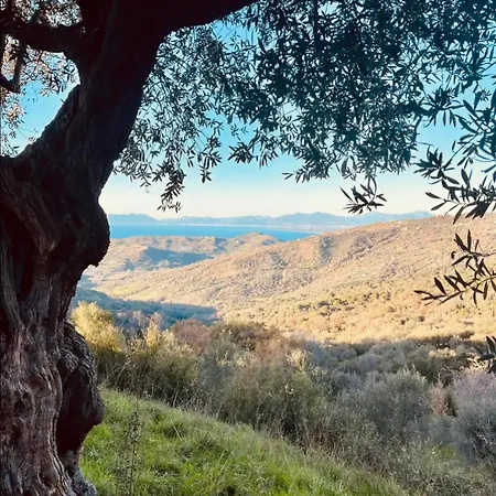 La Scienza Nuova Srls * Vatolla